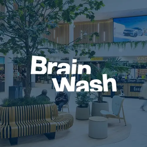 Brain Wash